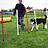 Agility Training: Dennis mit Delko (Husky)