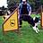 Agility Training: Kevin mit Leo (Border Collie)